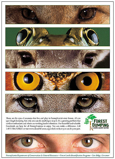 DCNR No Dumping Creative Eye Ad Design